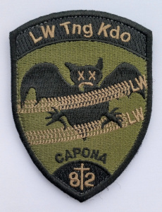 Badge LW Tng Kdo 82