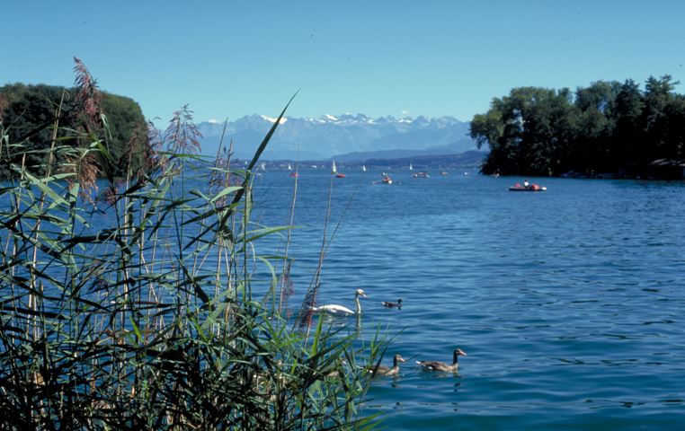 Sempachersee